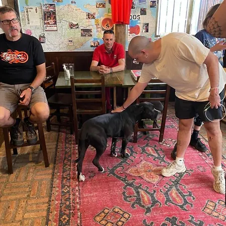 Vagabond Vieiras Vandrerhjem *