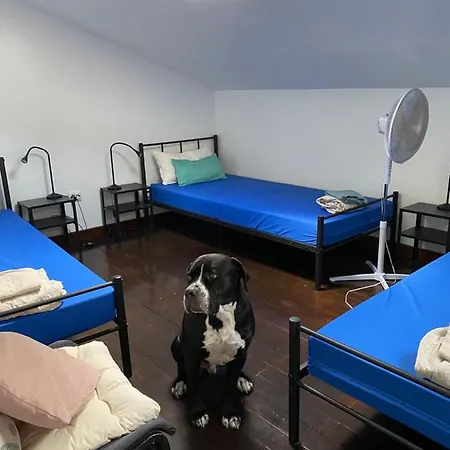 Hostel Vagabond Vieiras *
