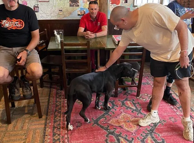 Vagabond Vieiras ホステル *