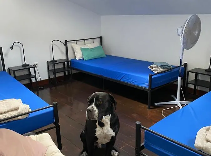 Хостел Vagabond Vieiras *